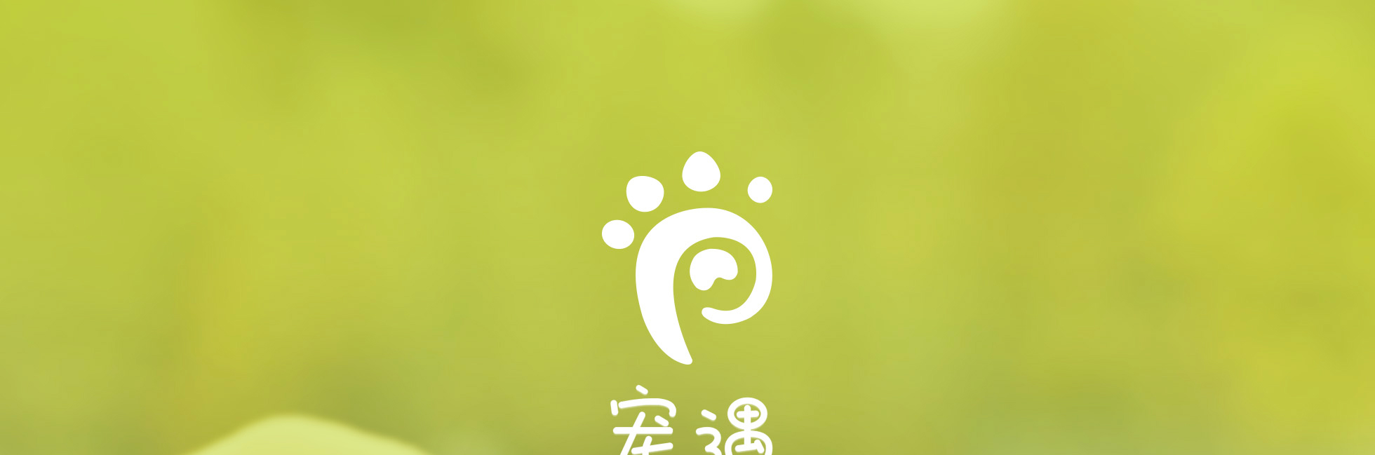 宠遇app下载最新版 安装后打不开闪退 解决方法 权限设置 配图