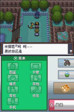 口袋妖怪心金nds中文版 游戏战斗画面 精灵对战截图
