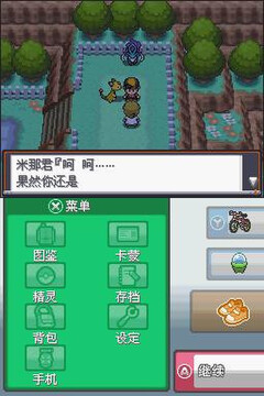 口袋妖怪心金nds中文版 游戏战斗画面 精灵对战截图
