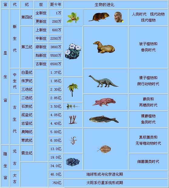 物种进化22026最新版本新手开局物种选择与资源分配技巧