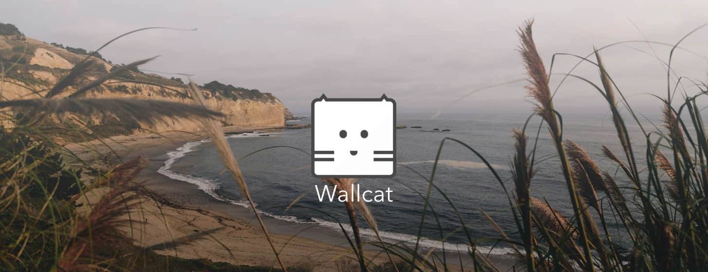 WallCat for Mac版(高清壁纸库) 壁纸分类浏览界面