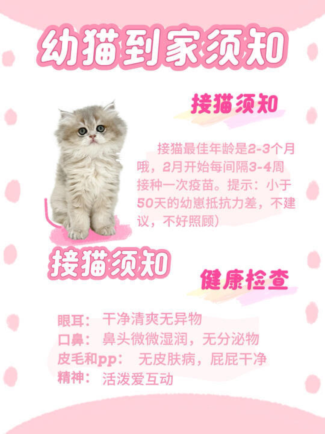 �ȳ谮����������ؿ�ָ�� è���ӻؼ�׼��
