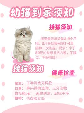 �ȳ谮����������ؿ�ָ�� è���ӻؼ�׼��