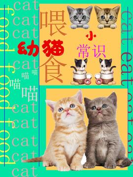 �ȳ谮�� ��è��Ȯι��ע������