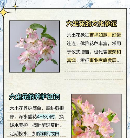 花禄花语是什么 花禄寓意富贵吉祥 花禄送人合适吗