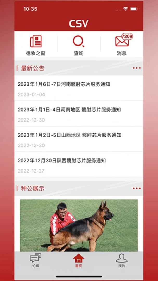 CSV安卓版官方版3.11.0截图1