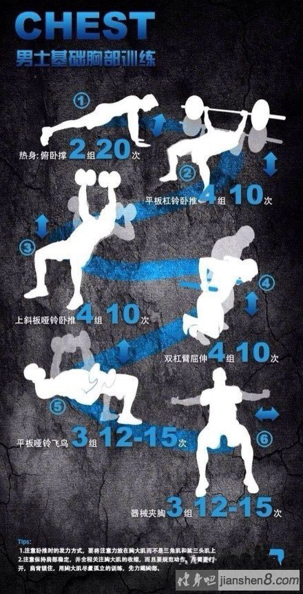 健身怪兽新手增肌训练计划动作图解