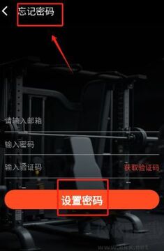 健身怪兽训练记录与进度追踪界面
