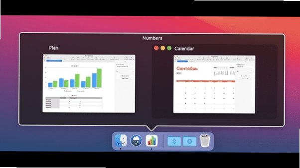 DockView for Mac��ͼ1