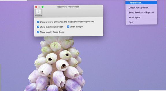 DockView for Mac��ͼ2