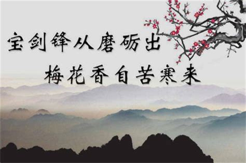名言屋经典语录大全摘抄合集封面