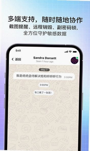 SafeX聊天软件安装包2.1.3截图2