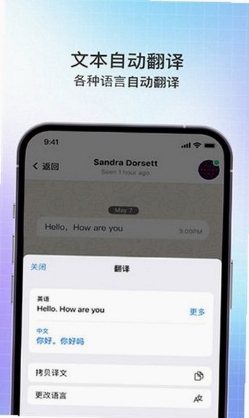 SafeX聊天软件安装包2.1.3截图0