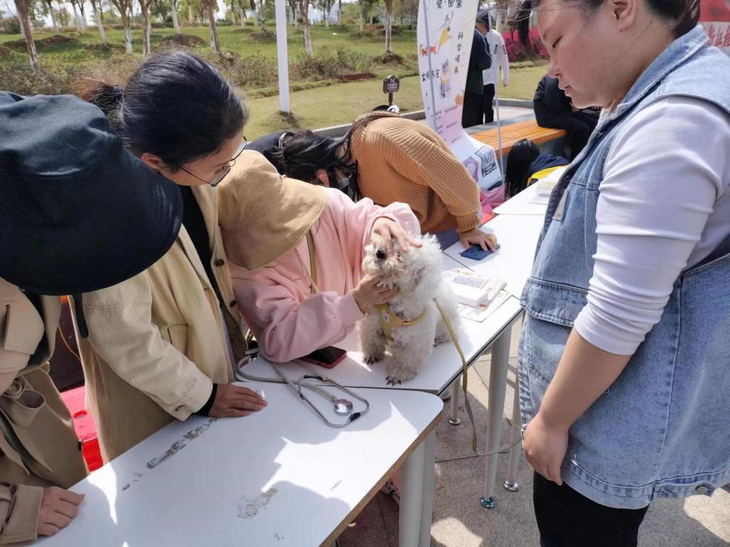 宠物家长养宠经验交流分享
