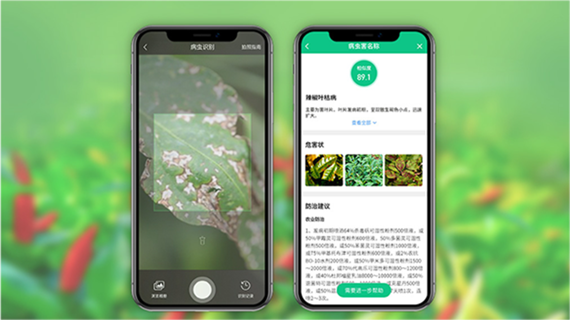 乐耕农服2026最新版病虫害识别拍照界面 手机屏幕