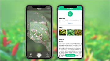 乐耕农服2026最新版病虫害识别拍照界面 手机屏幕