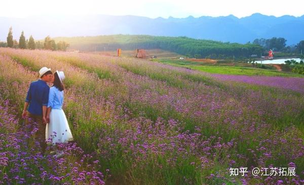 花田月下情侣夜晚打卡地推荐合集