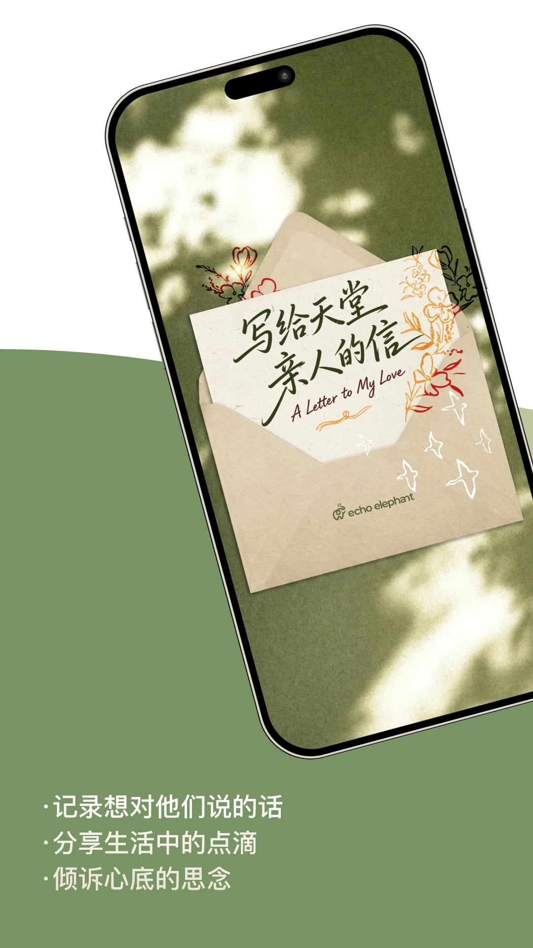 回声象1.0.1 安卓版截图1