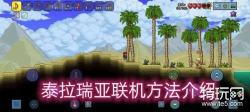 泰拉瑞亚1.4.5.8汉化版联机设置界面配图