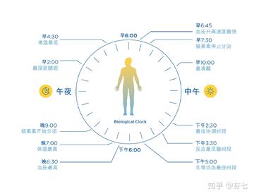 乙十睡眠医生讲解固定起床时间调整生物钟