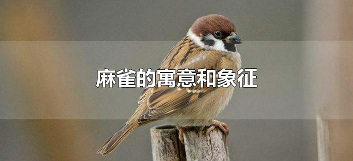 心雀寓意和象征意义 心雀文化来源解析配图