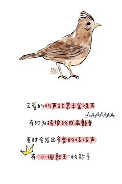 心雀到底是什么鸟 心雀寓意和象征意义解析 心雀完整科普图